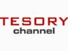 tesory channel in diretta streaming